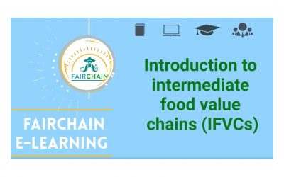 Online course: Introduction to Intermediate Value Chains
