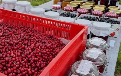 FAIRCHAIN creates a berry festival