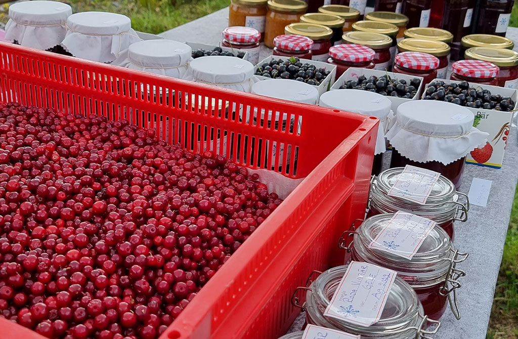 FAIRCHAIN creates a berry festival