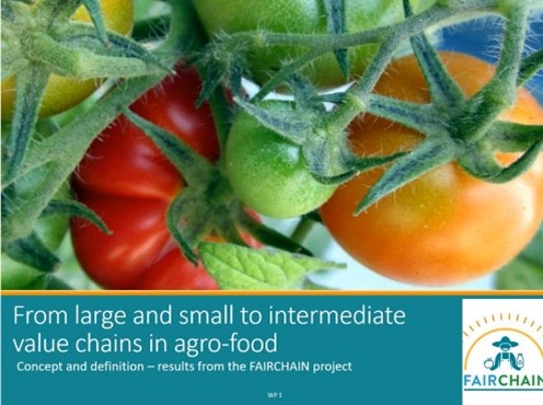 Webinar: Do you know what an Intermediate Food Value Chain (IFVC) is?